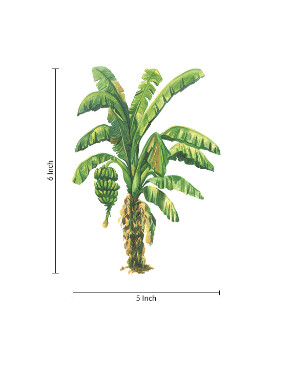 Banana Grove