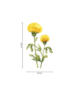 Golden Dandelion