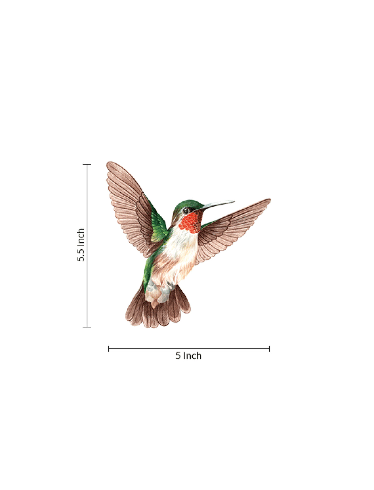 Ruby Hummer
