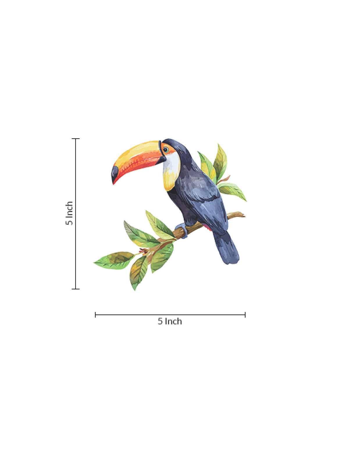 Toucan Perch