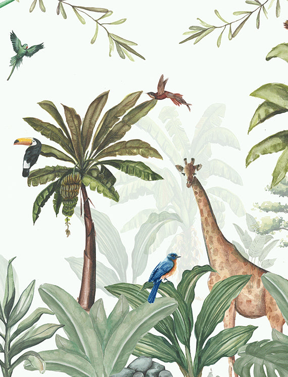 Tropical Rainforest Friends