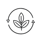 Eco Friendly Wallpapers