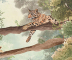 Cheetah Jungle