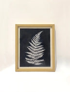 Fern Imprint
