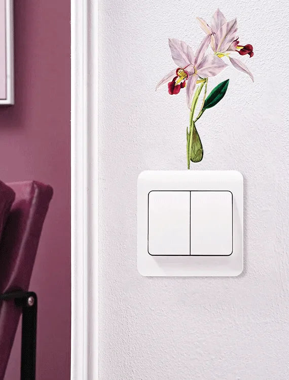 Orchid Blush