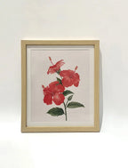 Scarlet Hibiscus