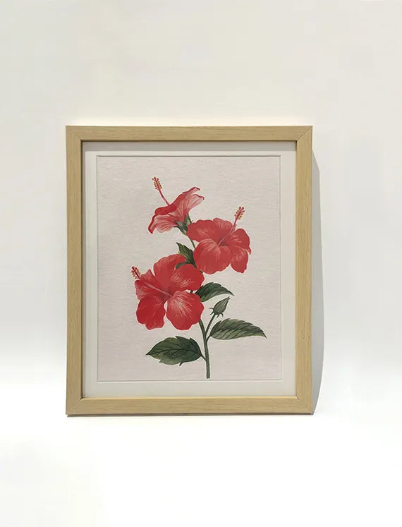 Scarlet Hibiscus