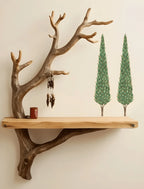 Tropical tree