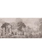 Silent Ruins
