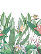 Tropical Oasis Echo