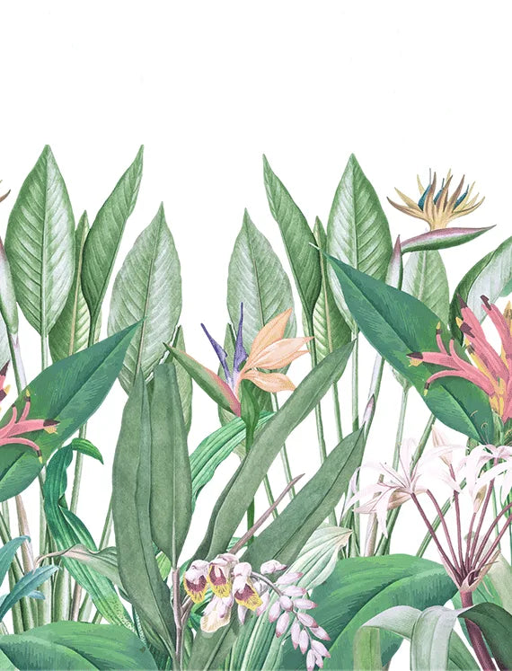 Tropical Oasis Echo