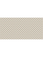 Mughal Mirage