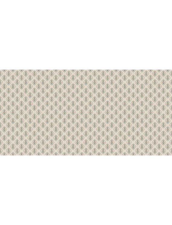 Mughal Mirage