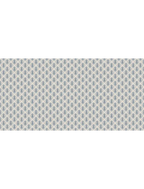 Mughal Mirage Hues