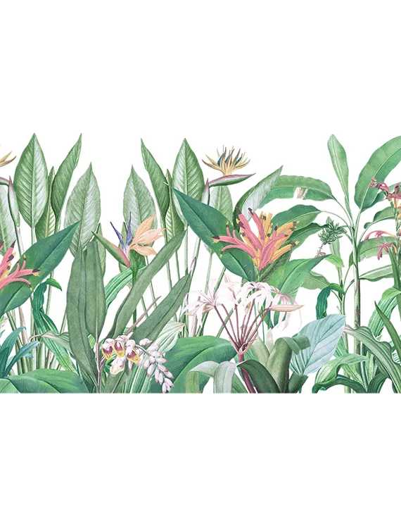 Tropical Oasis Echo