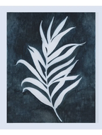 Palm Silhouette