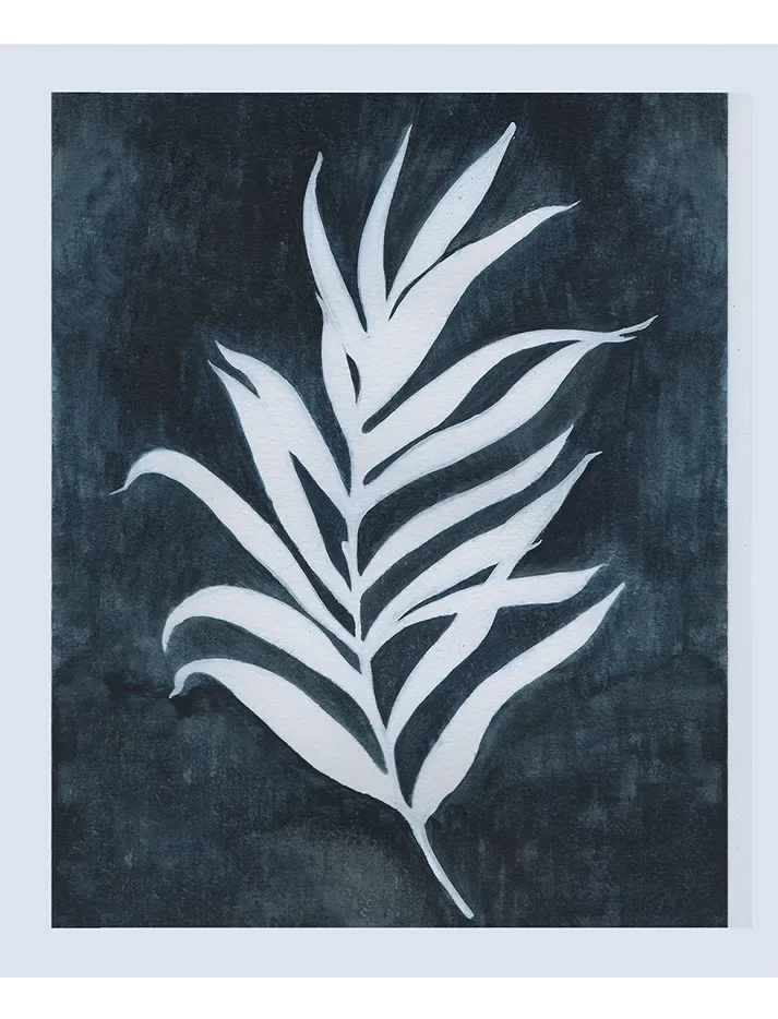 Palm Silhouette