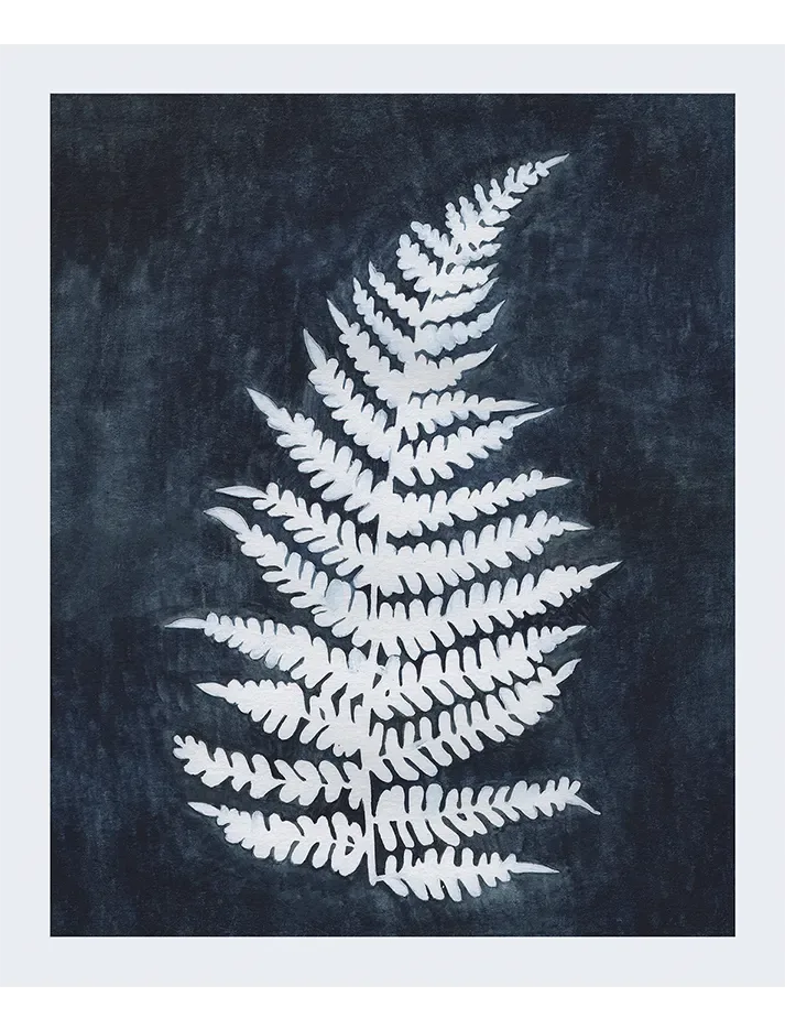 Fern Imprint