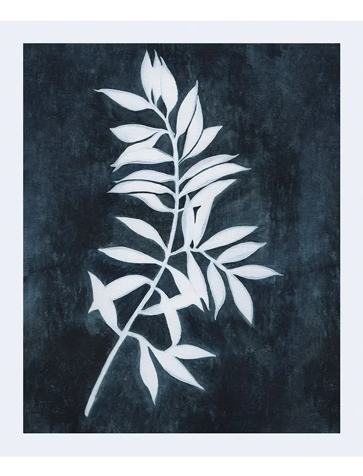 Branch Outline