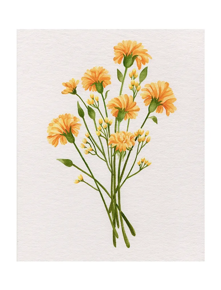 Marigold Bunch