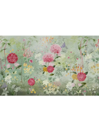 Radiance of the Dahlias