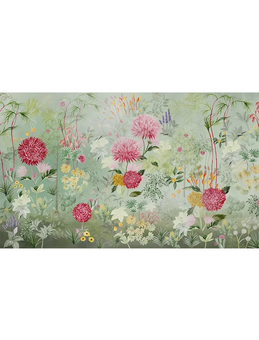 Radiance of the Dahlias