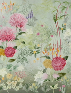 Radiance of the Dahlias