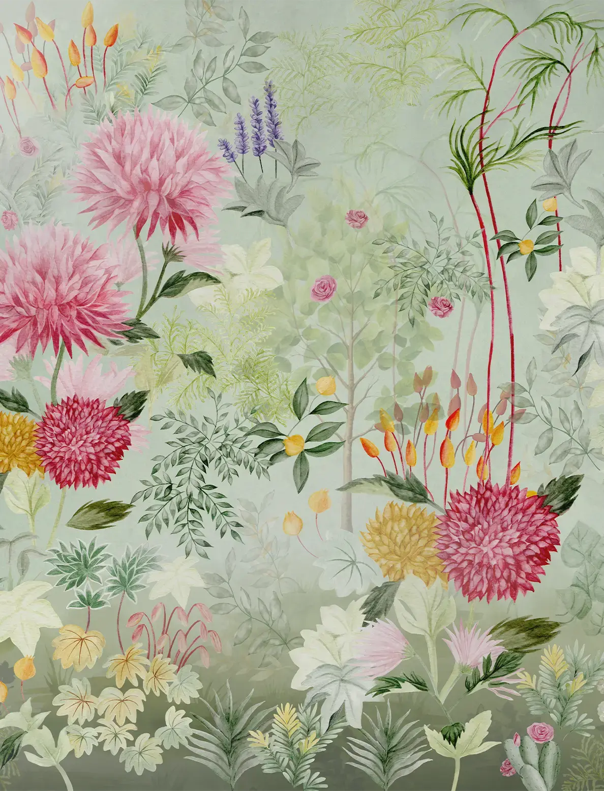 Radiance of the Dahlias